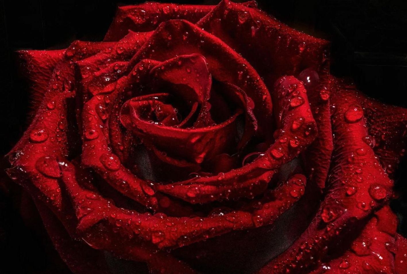 What the Data Says About Modern Floristry